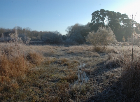 Parsonage Moor