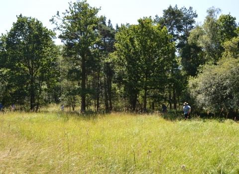 Whitecross Green Wood