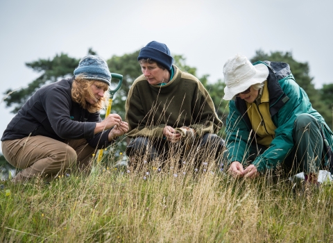 Photo of grassland survey