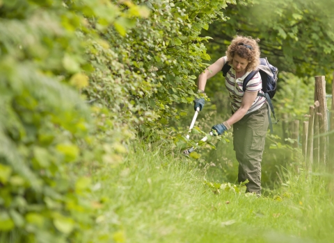 Greenham and Crookham Commons | Berks, Bucks & Oxon Wildlife Trust