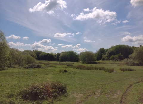 Ardley Wood Quarry