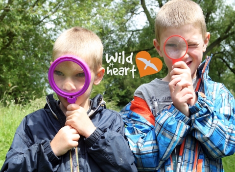 Wild at heart: Wildlife Fridays by Ric Mellis