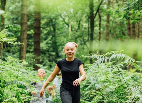 Children exploring in the woods