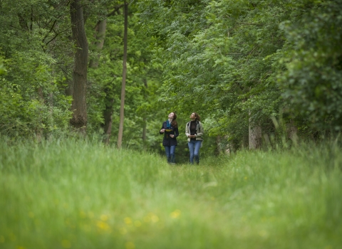 Wildlife walk