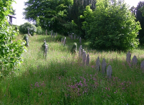 Wildlife churchyard
