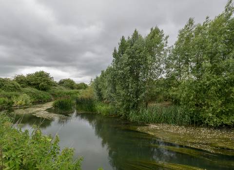 River at Chimney Meadows