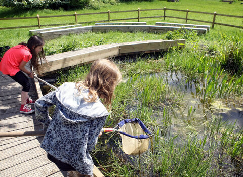 Children pond dipping at Sutton Courtenay Environmental Education Centre (SCEEC) as part of a school trip. Picture: Ric Mellis 