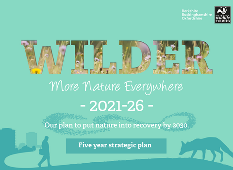 BBOWT Wilder Strategic Plan 2021-6
