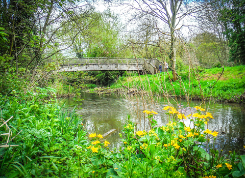 The River Cherwell running through Banbury's Spiceball Park by Judith Verdon