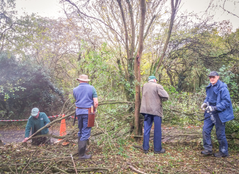 BBOWT volunteers creating a hedgerow using traditional hedgelaying techniques at the Nature Discovery Centre (NDC) in Thatcham. Picture: Pete Hughes