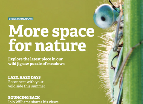 Cover page of the BBOWT Wild magazine, summer 2023
