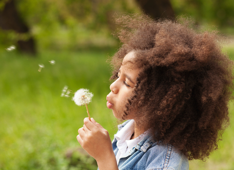A young girl holding a dandelion and blowing seeds
