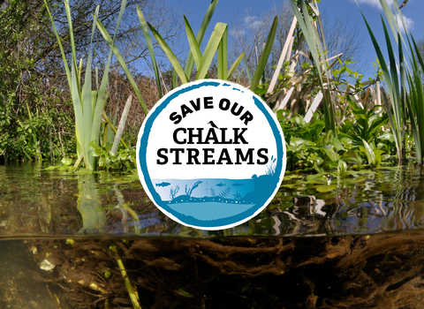 Logo for the Save Our Chalk Streams campaign displayed on an image of aquatic plants in a river