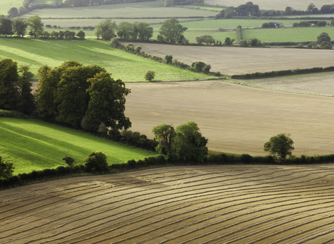Rural landscape of mixed farming with green fields and ploughed land separated by hedges