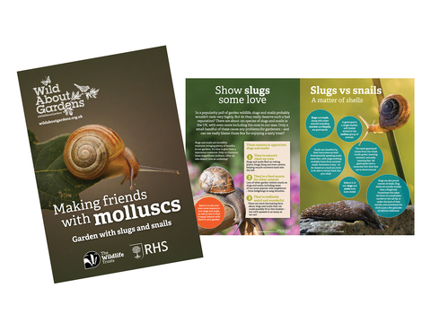Images from the booklet titled 'Making friends with molluscs' featuring slugs and snails