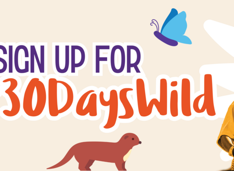 Sign up for 30 Days Wild 2024