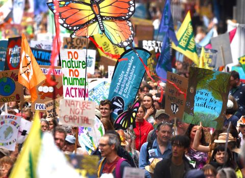 A group of people with signs in support of nature