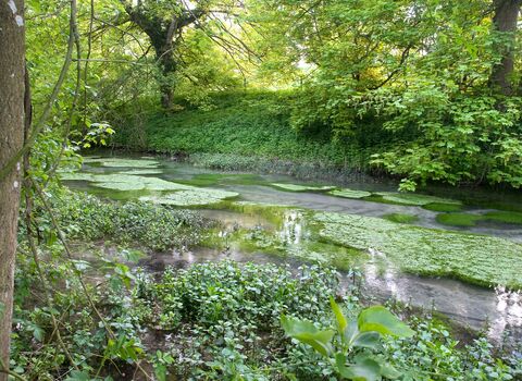 A clear stream running through a valley surrounded by lush greenery.