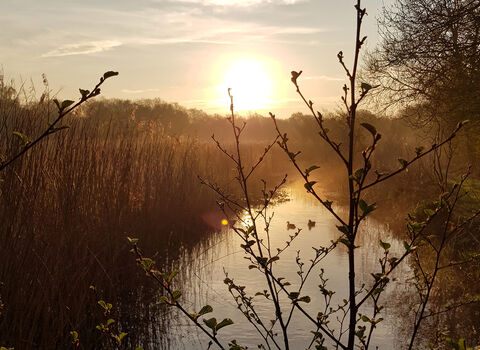 Sunrise at Thatcham Reedbeds, Berkshire