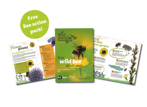 Free bee action pack