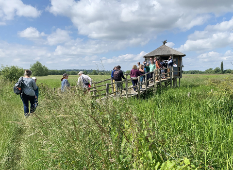 Thames Observation Platform at Duxford Habitat Bank, adjacent to Chimney Meadows Nature Reserve in Oxfordshire