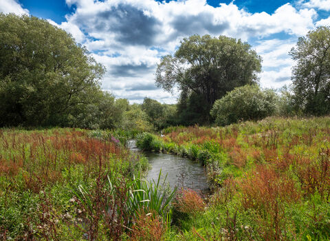 Landscape view of the fish passage at Chimney Meadows Nature Reserve