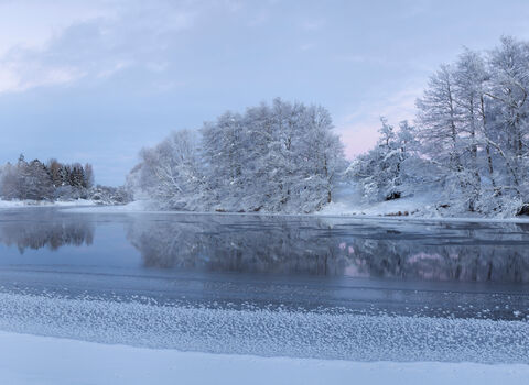 Winter landscape showing a frozen lake and snow-covered trees
