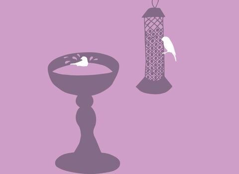 An illustration of a hanging bird feeder with a bird feeding on it next to a bird bath with a bird bathing in it