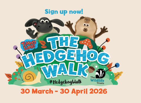Hedgehog Walk 2026