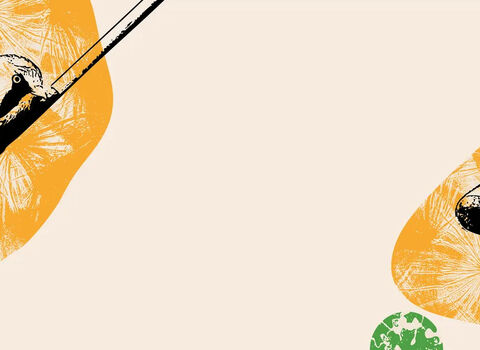 Illustrations of a bearded tit and badger