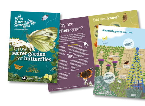 Free butterfly guide: Grow a secret garden for butterflies
