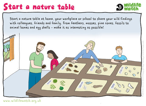 Nature table activity